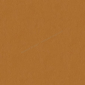 Sample image of D320