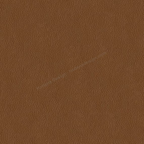 Sample image of D340