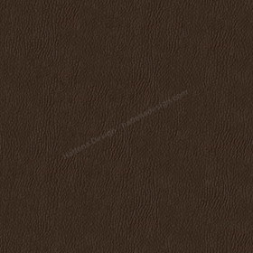 Sample image of D350