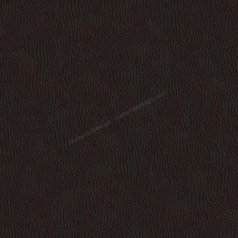 Sample image of D360