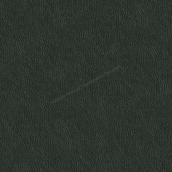 Sample image of D420