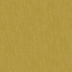 Sample image of D450