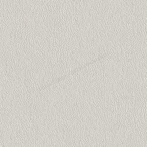 Sample image of D620
