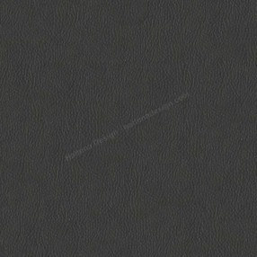 Sample image of D650