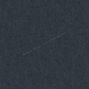 Sample image of D670