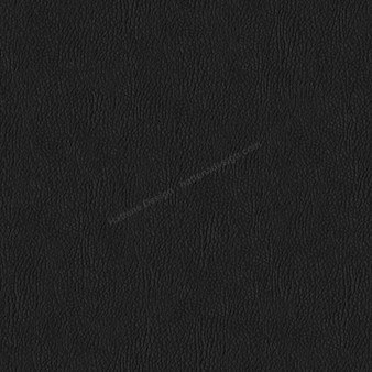 Sample image of D900