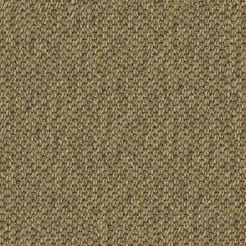 Sample image of TIGEREYE-15-131