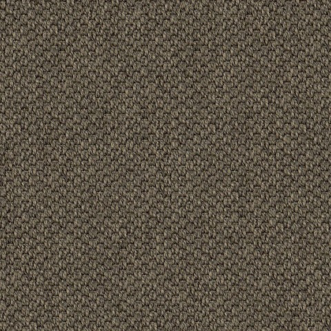 Sample image of TIGEREYE-31-131