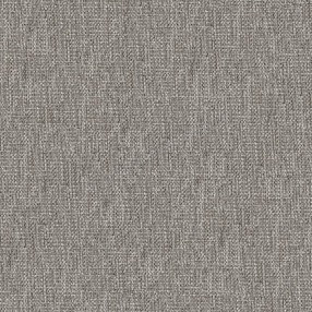 Sample image of V019