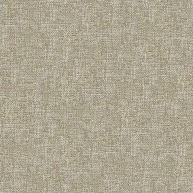 Sample image of V020