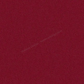 Sample image of V336