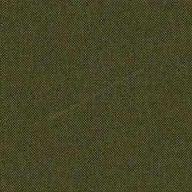 Sample image of V420